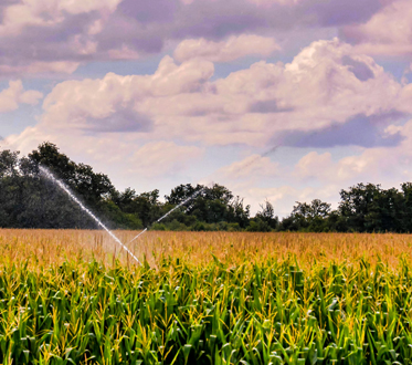 Irrigation
